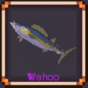 Wahoo
